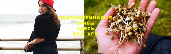 мескалин Алзамай